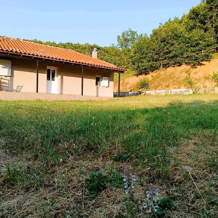 Billy'S House Βίλα Καλαμπάκα Εξωτερικό φωτογραφία