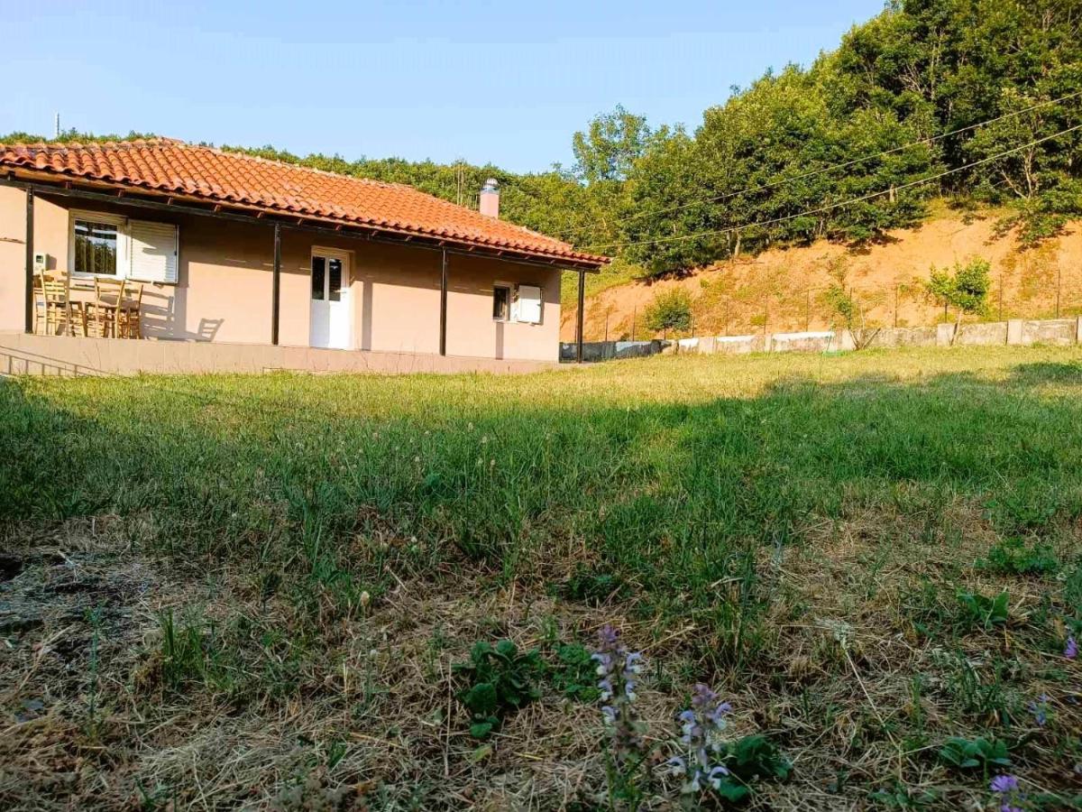 Billy'S House Βίλα Καλαμπάκα Εξωτερικό φωτογραφία
