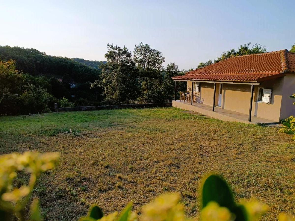 Billy'S House Βίλα Καλαμπάκα Εξωτερικό φωτογραφία