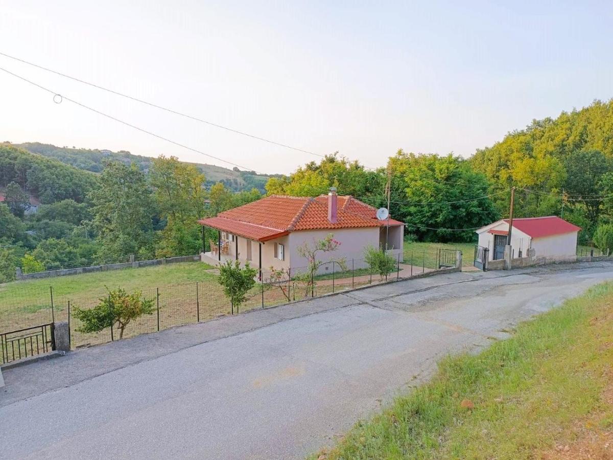 Billy'S House Βίλα Καλαμπάκα Εξωτερικό φωτογραφία