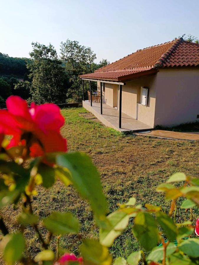 Billy'S House Βίλα Καλαμπάκα Εξωτερικό φωτογραφία