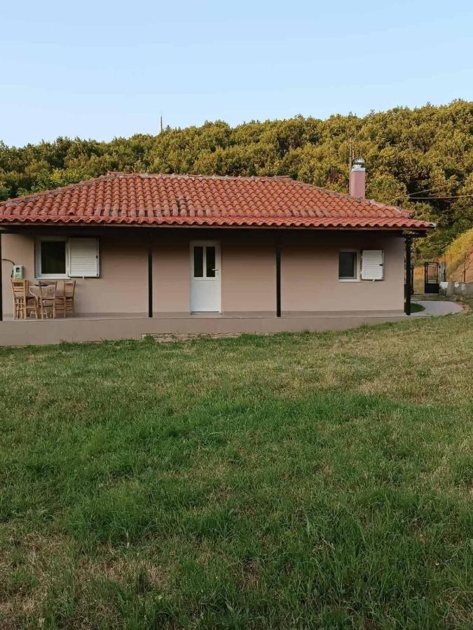Billy'S House Βίλα Καλαμπάκα Εξωτερικό φωτογραφία
