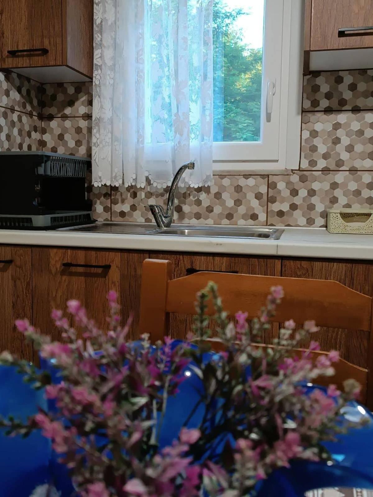 Billy'S House Βίλα Καλαμπάκα Εξωτερικό φωτογραφία